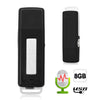 8GB USB Digital Audio Voice Recorder